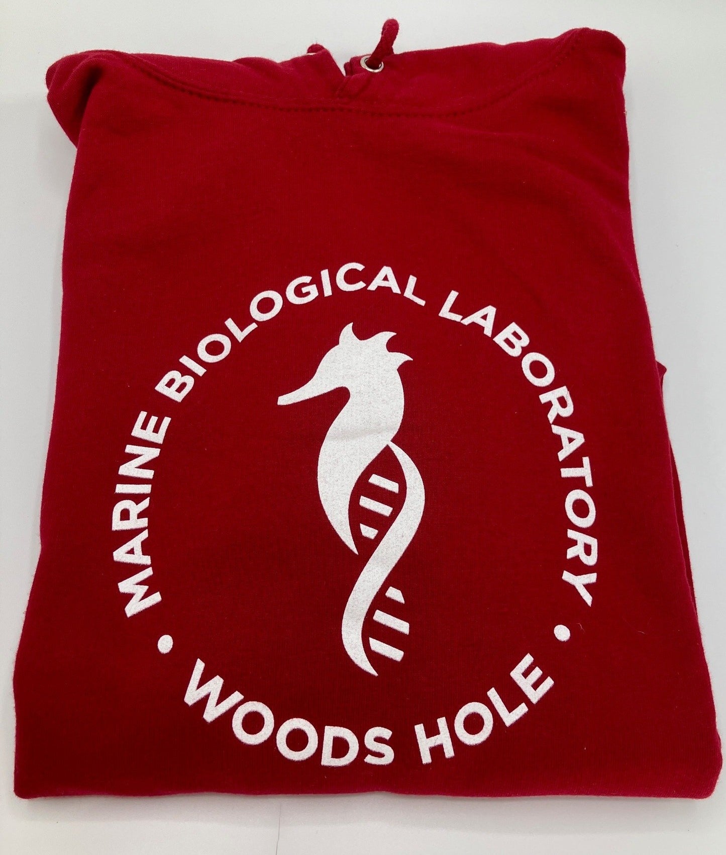 Seahorse Logo Hoodie