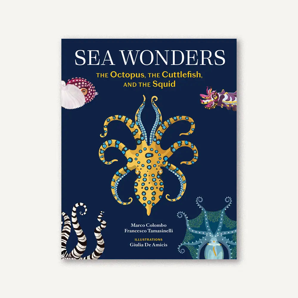 Sea Wonders- The Octopus, the Cuttlefish and the Squid by Marco Colombo and Francesco Tamasinelli  Illustrated by Guilia De Amicis