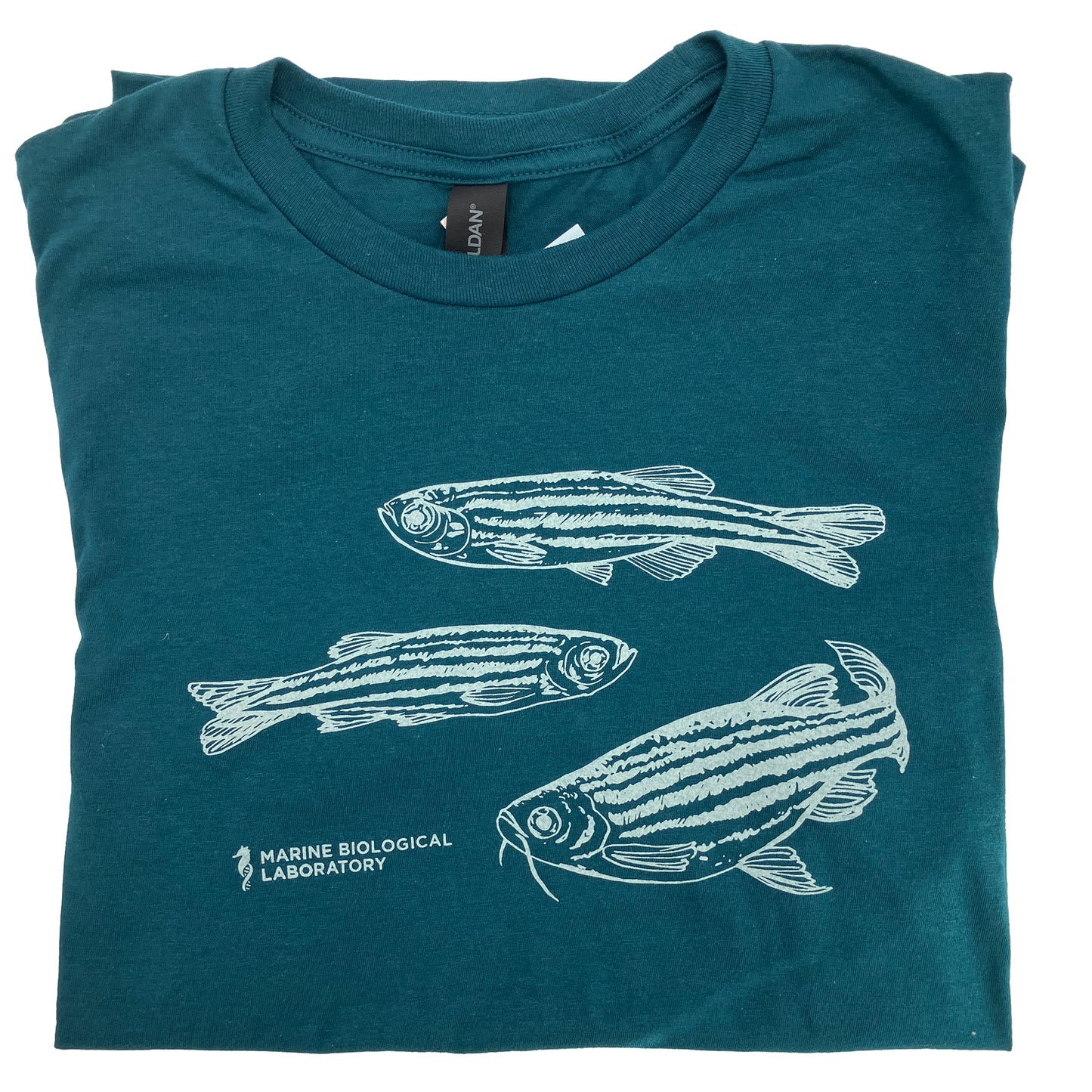 Zebrafish Cotton Short Sleeve Tee