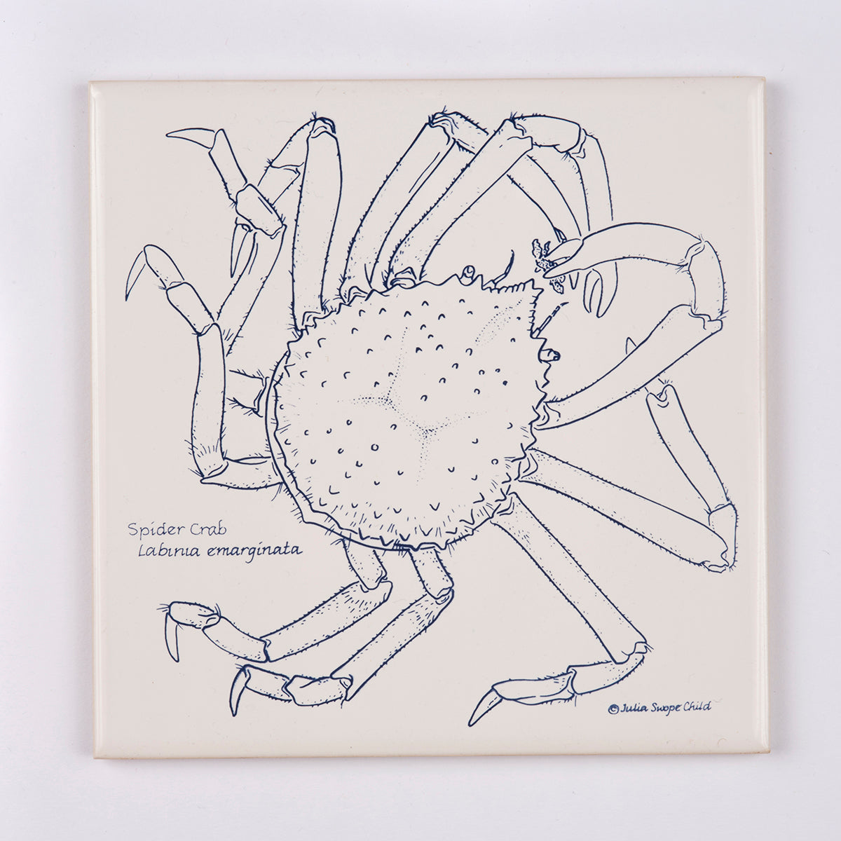 Spider Crab Trivet