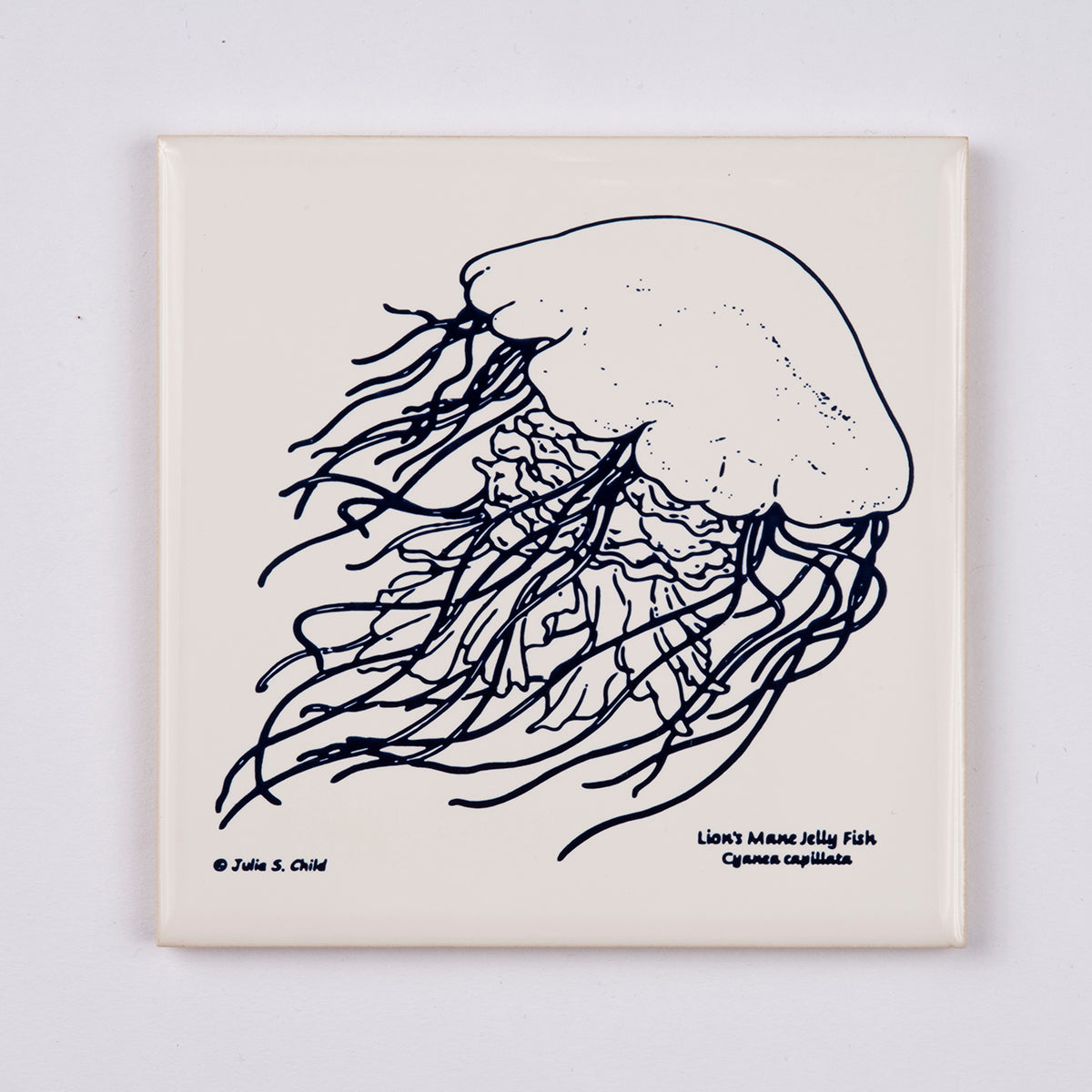 Jellyfish Trivet