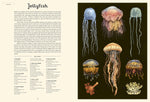 Oceanarium:  Welcome to the Museum Book