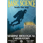 Basic Science Magnet- The Diver