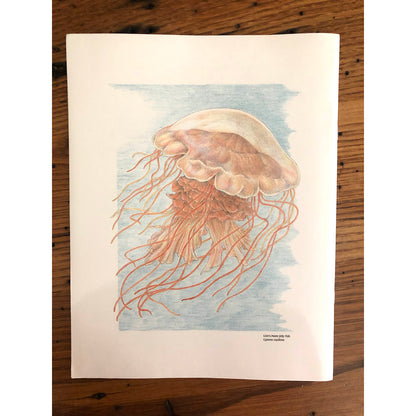 MBL Coloring Book