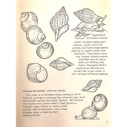 MBL Coloring Book