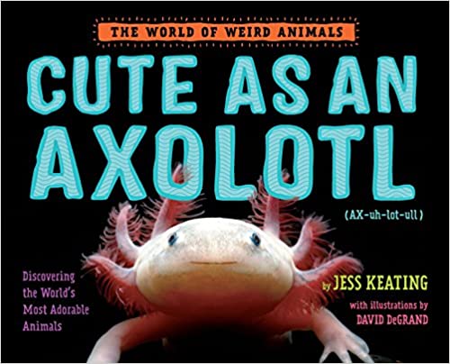 Cute as an Axolotl: Discovering the World's Most Adorable Animals (The World of Weird Animals) by Jess Keating