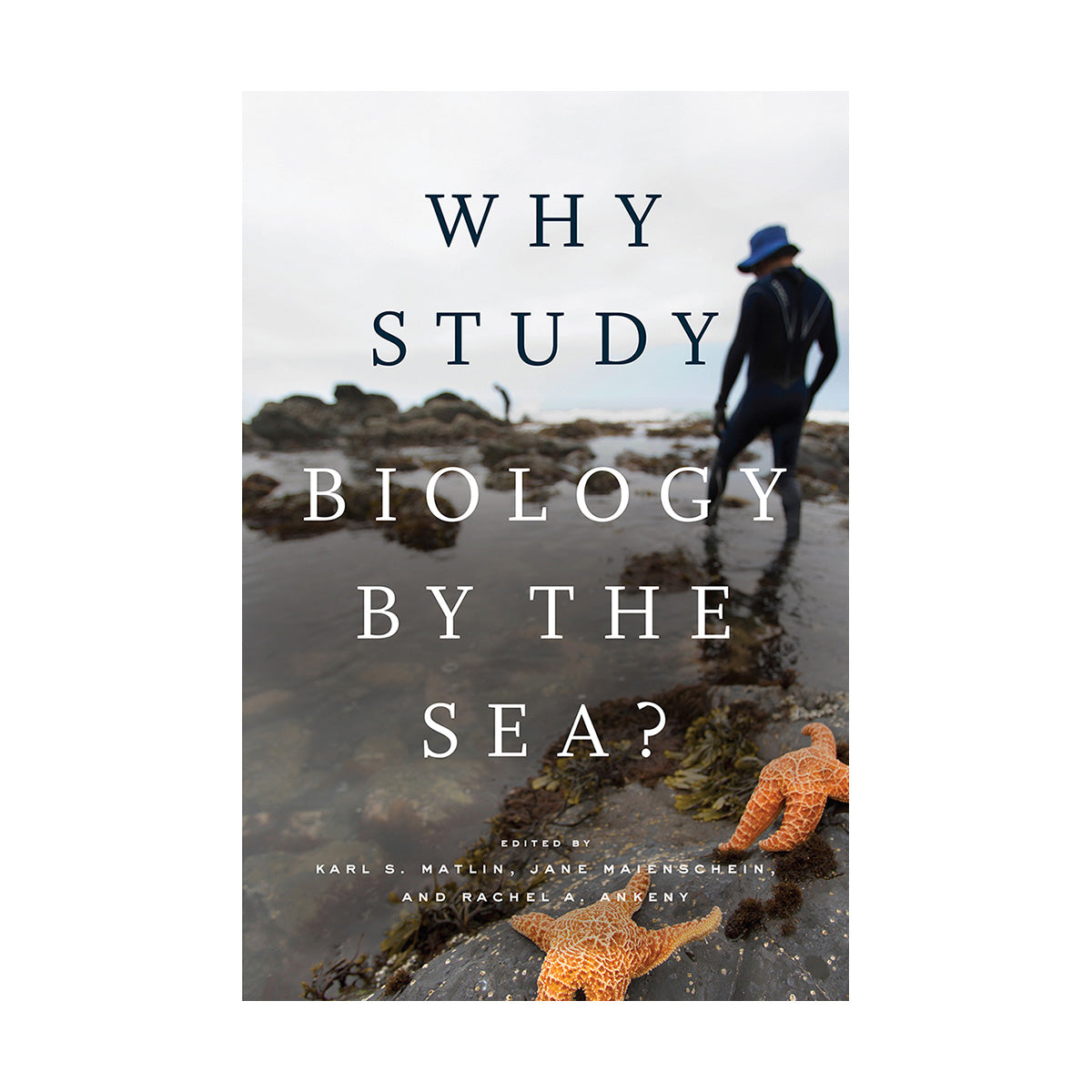 Why Study Biology by the Sea?