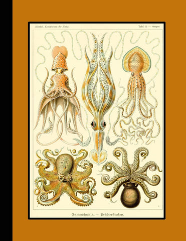 Haeckel Journal