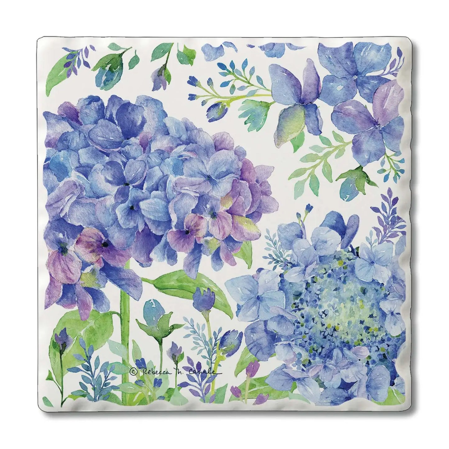 Beautiful Hydrangea Absorbent Stone Coasters