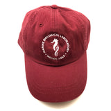 Seahorse Logo Cap
