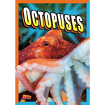 Octopuses- Super Sea Creatures