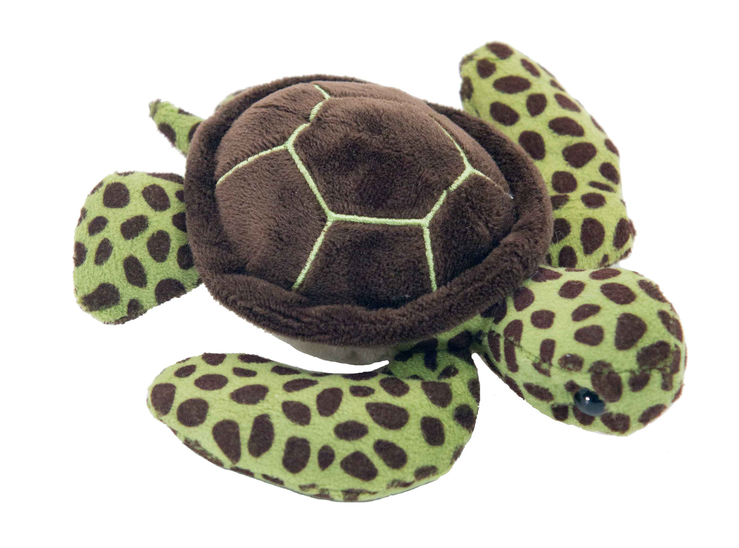 Stuffed Baby Sea Turtle