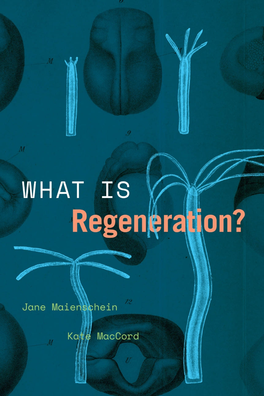 What is Regeneration?  by Jane Maienschein and Kate MacCord