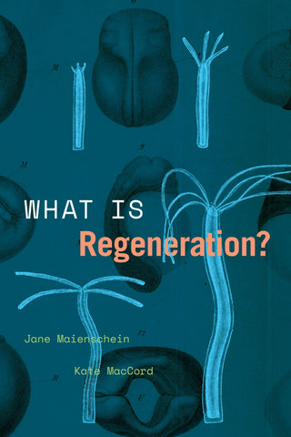 What is Regeneration?  by Jane Maienschein and Kate MacCord